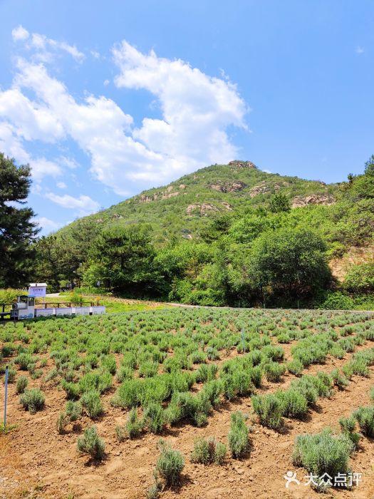 云峰山自然风景区图片