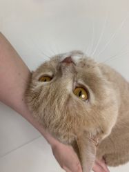 -雪儿·YuKi美甲美睫皮肤管理Salon