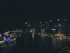 -新加坡丽思卡尔顿美年酒店