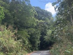 -海南热带雨林国家公园吊罗山景区
