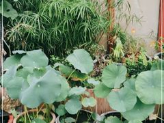 -华声天桥民俗文化园