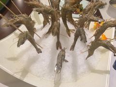 -红色盛宴酒楼(科丰桥店)