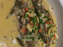 -后湖小院·乡野田园菜