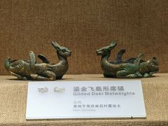 -烟台市博物馆