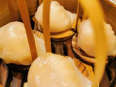 -金鼎轩(亚运村店)