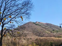 -句容茅山景区