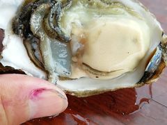 -张会海鲜饭店(东戴河店)