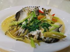 酸梅蒸鱼-长平老姿娘夜粥(平东一街店)