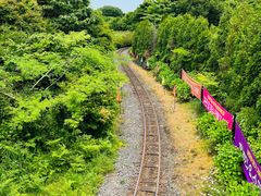 -济州森林小火车生态公园