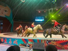 -俄罗斯国家大马戏团