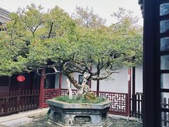-水绘园
