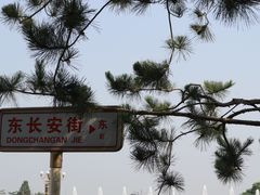 -天安门广场