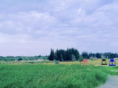 -盐湖景区