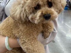 -迪卡侬(安德门店)