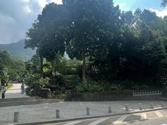 -深圳仙湖植物园