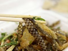 顺德祖传爽鱼皮-陈添記·祖傳爽鱼皮·西关老字号(广州首店)