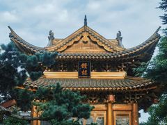 -上海东林寺(金山区)
