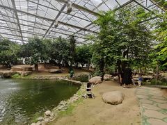 -南通洲际绿博园