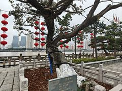 -江心屿景区