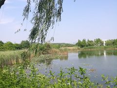 -上海市保健医疗中心(华东疗养院)