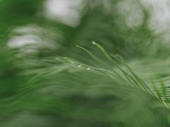 -泸州老窖景区