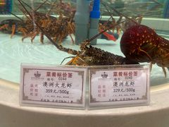 澳洲龙虾-白金汉爵大酒店-24小时餐厅