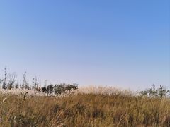 -伏羲山旅游区