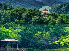 -广州白江湖森林公园