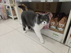 -悦宠凯宝动物医院·牙科·皮肤科(朝阳北路店)