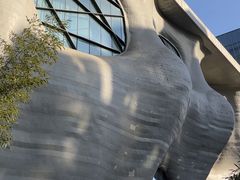 -证大喜玛拉雅中心