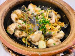 -围龙屋客家食府(福田店)