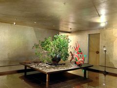 -隐溪茶馆(静安寺店)