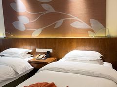 -九华山聚龙大酒店