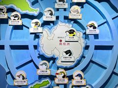 -海合安武汉极地海洋公园