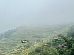 -紫鹊界梯田景区