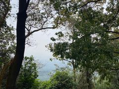 -火炉山森林公园