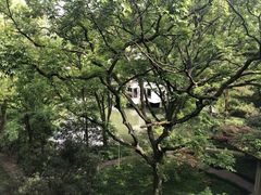 -杭州花家山庄