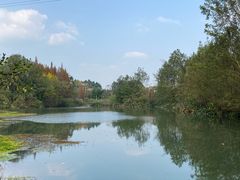 -桤木河湿地公园