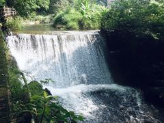 -广州市石门国家森林公园