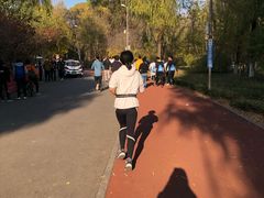 -奥林匹克森林公园南门-停车场