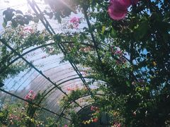 -The Grounds of Alexandria