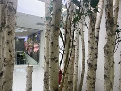 -极简口腔(总院)