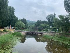 -紫海香堤香草艺术庄园