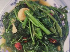 -新概念来凤鱼(璧山店)