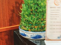 -裕和堂中医推拿艾灸(太古汇臻品店)