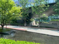 -青麦家·融合餐厅(江岛智立方店)