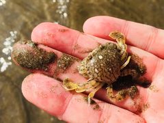 -嵊泗基湖沙滩