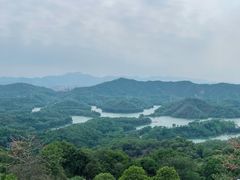 -红花湖景区
