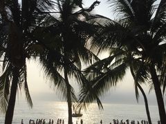 -龙泉人椰子鸡.糟粕醋.海南菜(三亚旗舰店)