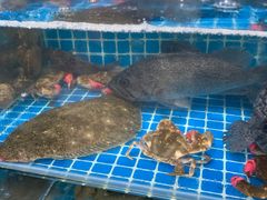 水产区-宾朋海鲜特色美食餐厅·纯手工鲅鱼水饺(兴海路店)